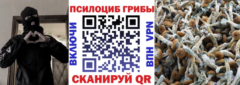 Псилоцибиновые грибы Psilocybine cubensis  цена   Сергач 